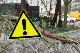 Синоптики объявили «жёлтое» предупреждение из-за сильного ветра