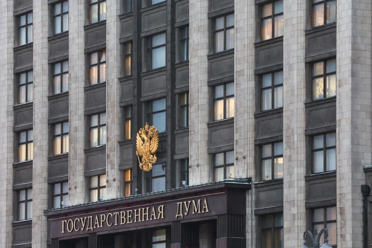 В Госдуме РФ выступили за появление отдельной статьи в УК за создание этнической ОПГ