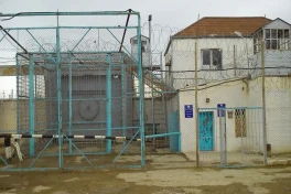 Статистика: побеги из тюрем, уклонение от наказания и розыск