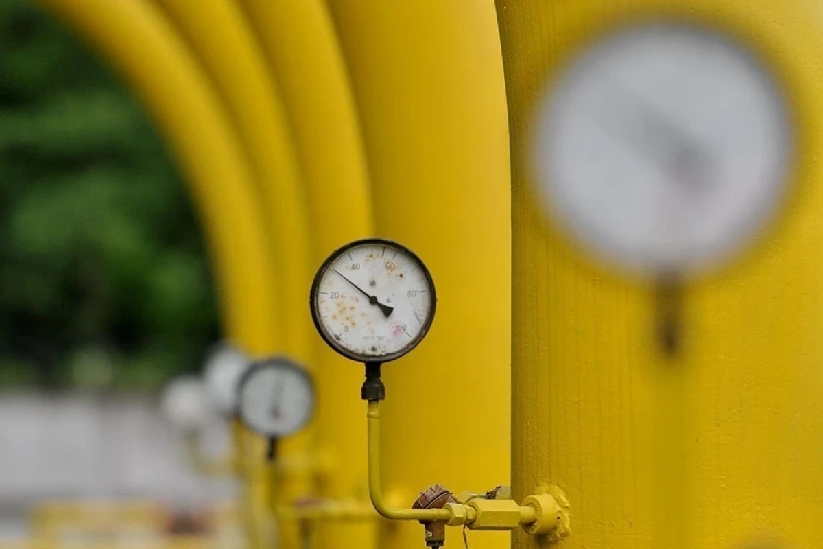 Япония нарастила закупки российского газа и угля, но отказалась от нефти