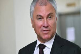 Володин: число детей мигрантов в школах РФ сократилось
