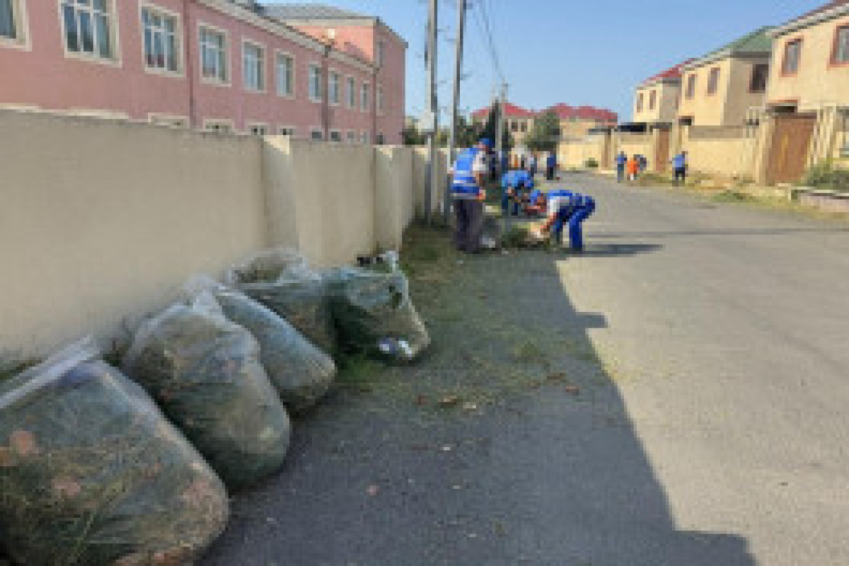 Сумгаитские власти призвали горожан к ответственности за чистоту города-ФОТО 