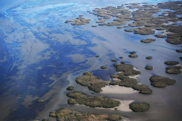 Уровень воды в Каспийском море к концу года может снизиться на 25 см