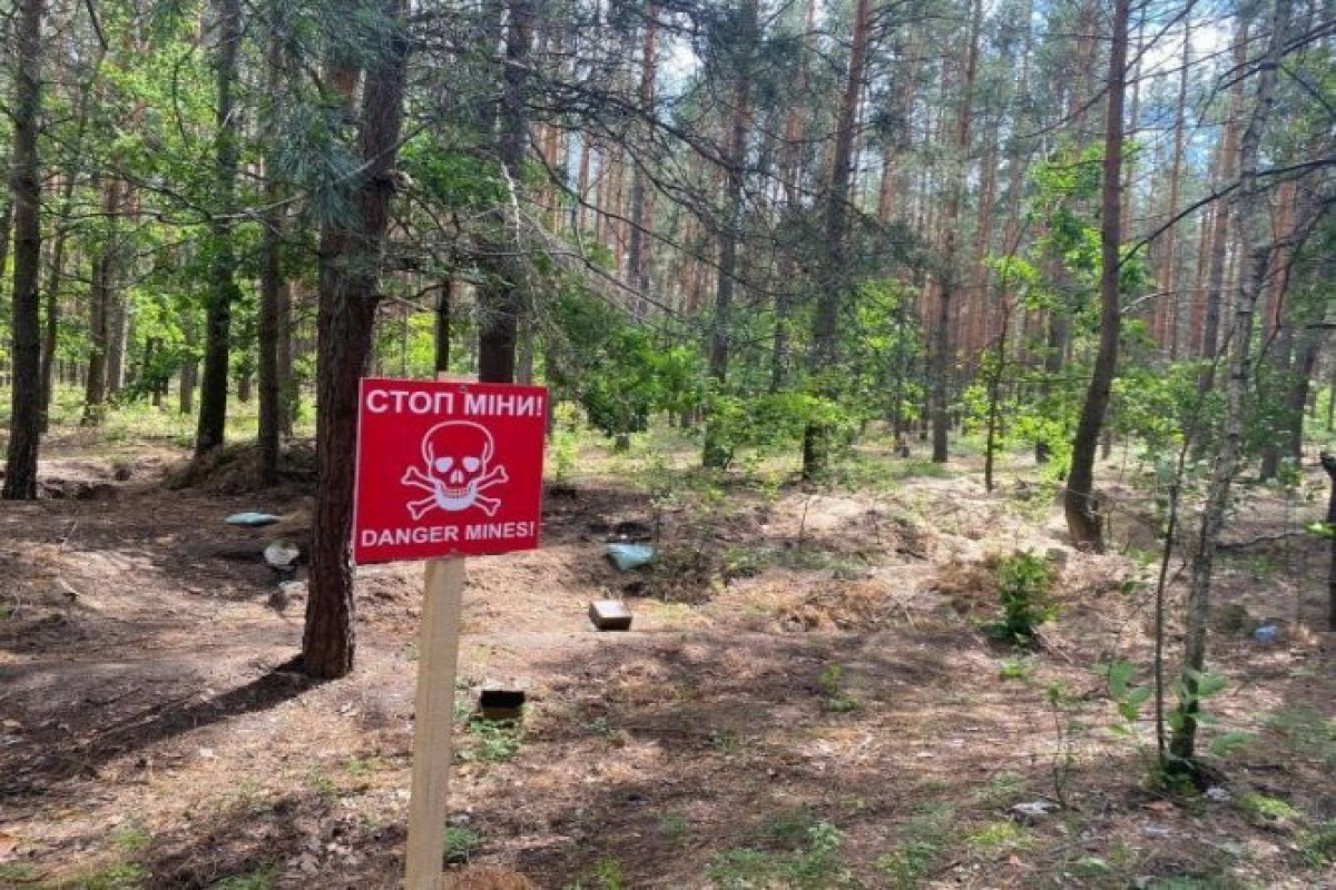 ПР ООН: Украина самая заминированная страна в мире