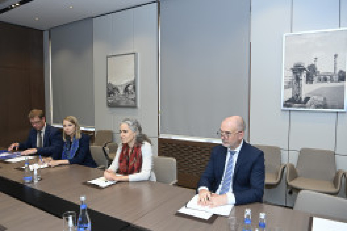 Глава МИД Азербайджана принял специального представителя Евросоюза 