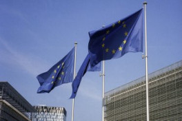 ЕС изучит санкции против партнеров России