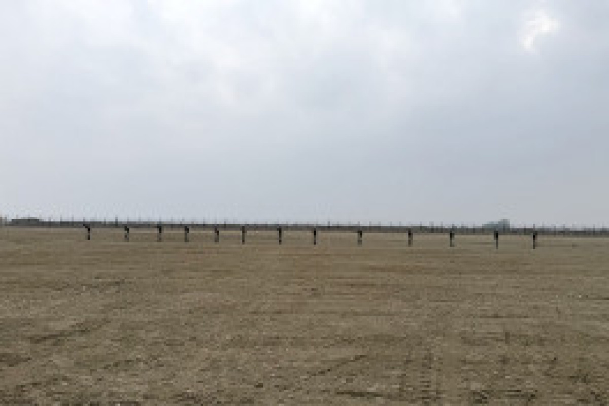 В армии Азербайджана прошли сборы с военнослужащими запаса-ФОТО 