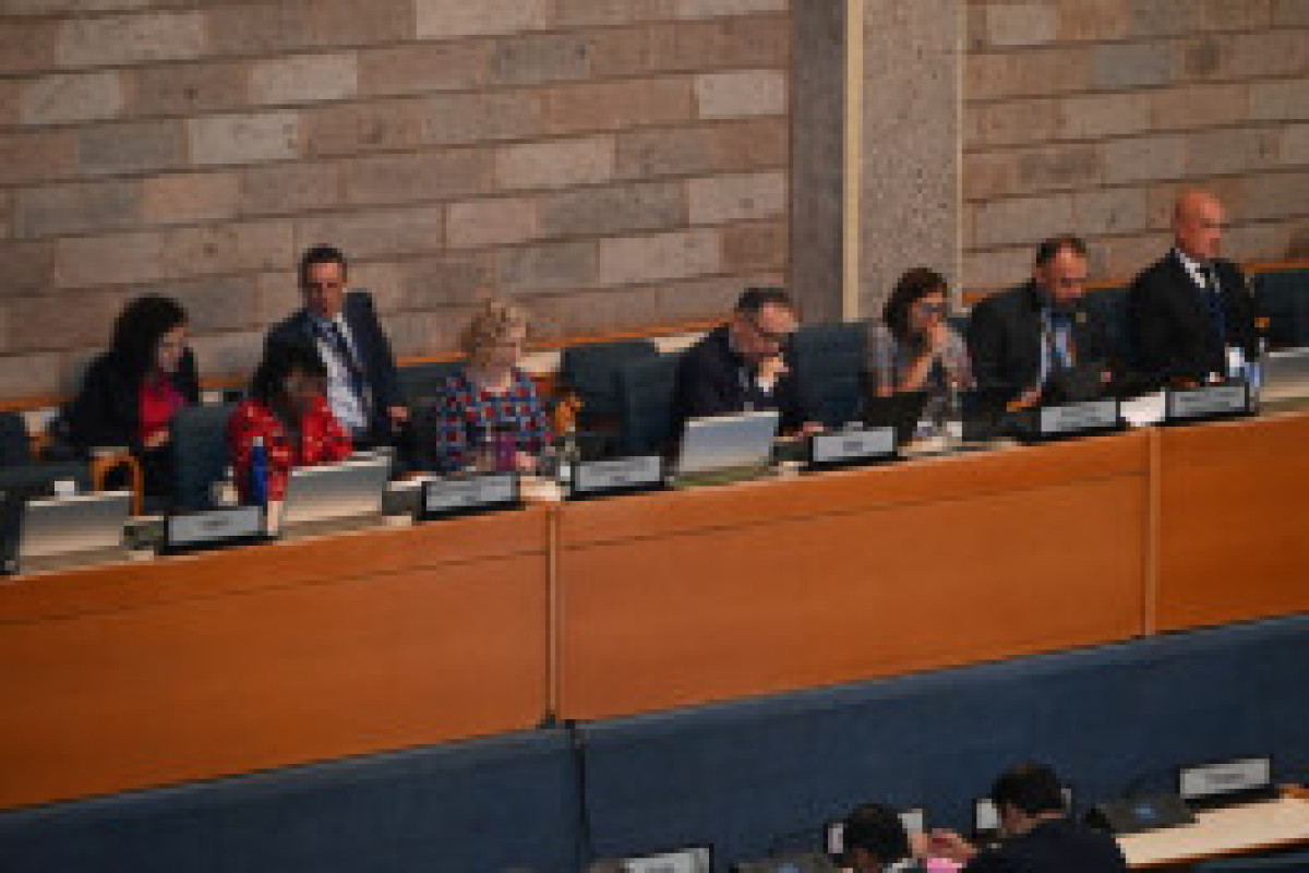 Азербайджан возглавил подготовку к 7-й сессии ЮНЕА в Найроби