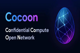 Дуров заявил о запуске децентрализованной вычислительной сети Cocoon