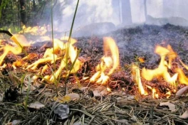 Крупный пожар охватил горные районы Лачина и Кяльбяджара-ВИДЕО 