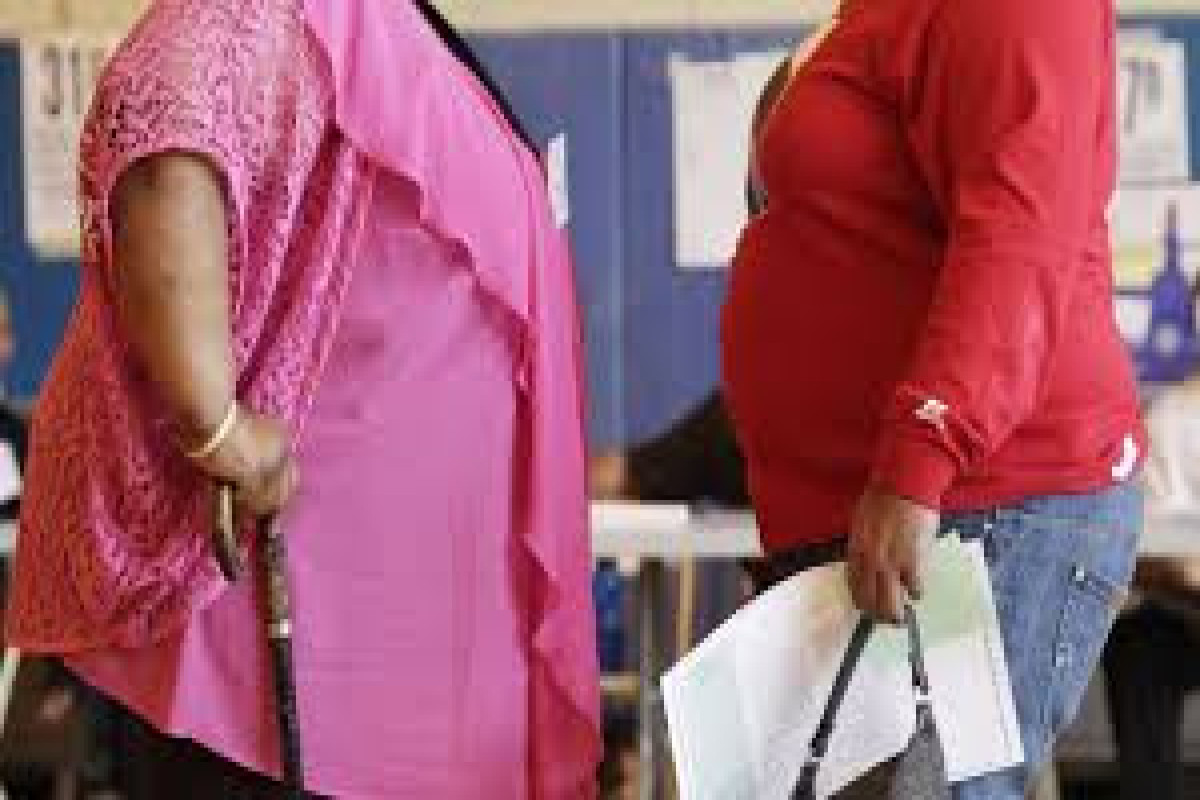 Лишний вес ускоряет рост маркеров болезни Альцгеймера