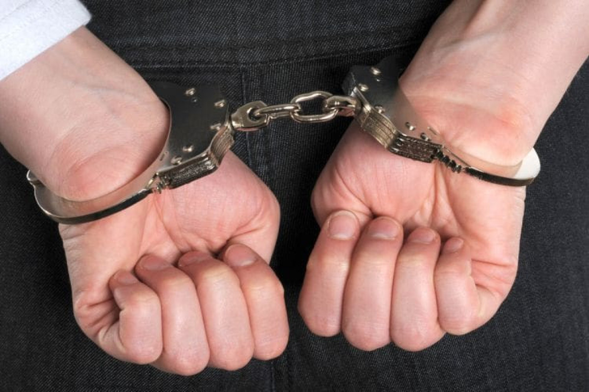 NY Post: В США задержали студента-иммигранта, готовившего массовый расстрел