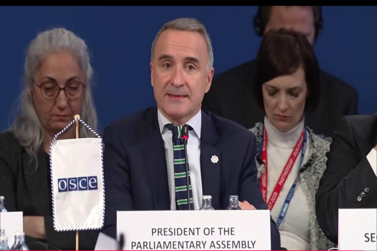 В ОБСЕ отметили позитивные сигналы в мирном процессе Баку и Еревана 