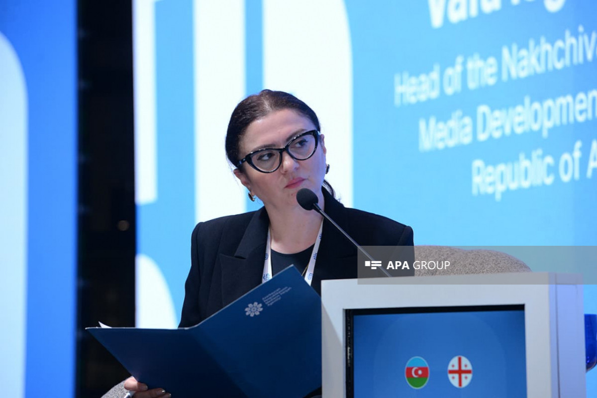 На медиафоруме в Баку обсудили профессионализм журналистов и борьбу с фейками-ФОТО 