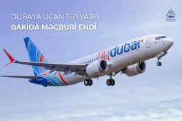 Самолет FlyDubai совершил вынужденную посадку в Баку