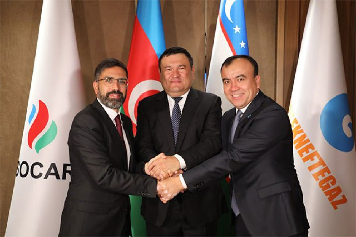 SOCAR и «Узбекнефтегаз» начали геологоразведку на плато Устюрт