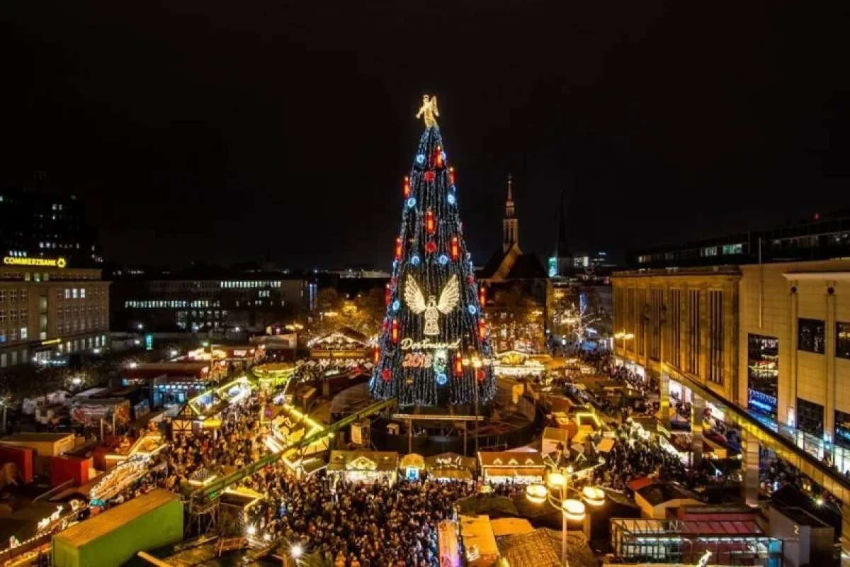 В Дортмунде установили самую высокую елку в мире