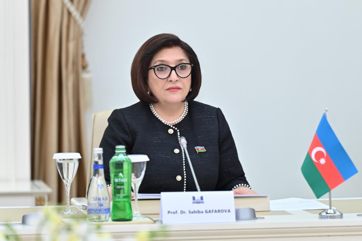 Спикер Милли Меджлиса Сахиба Гафарова встретилась с министром иностранных дел Ирана