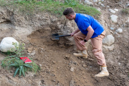 Археологи нашли окаменелость с целыми органами возрастом 520 млн лет