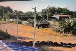 Таиланд вторгся в Камбоджу и занял спорную деревню после боев-ФОТО 