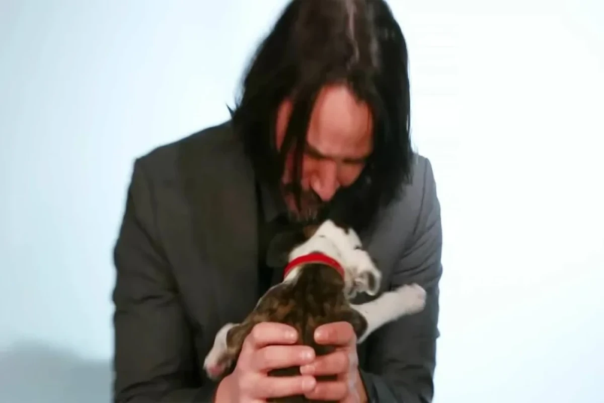 Киану Ривз открытил масштабный приют для животных-ФОТО 