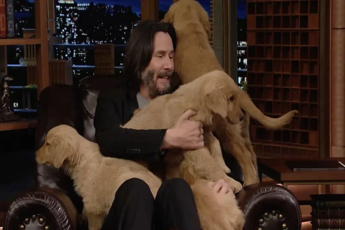 Киану Ривз открытил масштабный приют для животных-ФОТО 