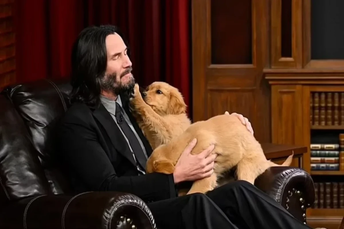 Киану Ривз открытил масштабный приют для животных-ФОТО 