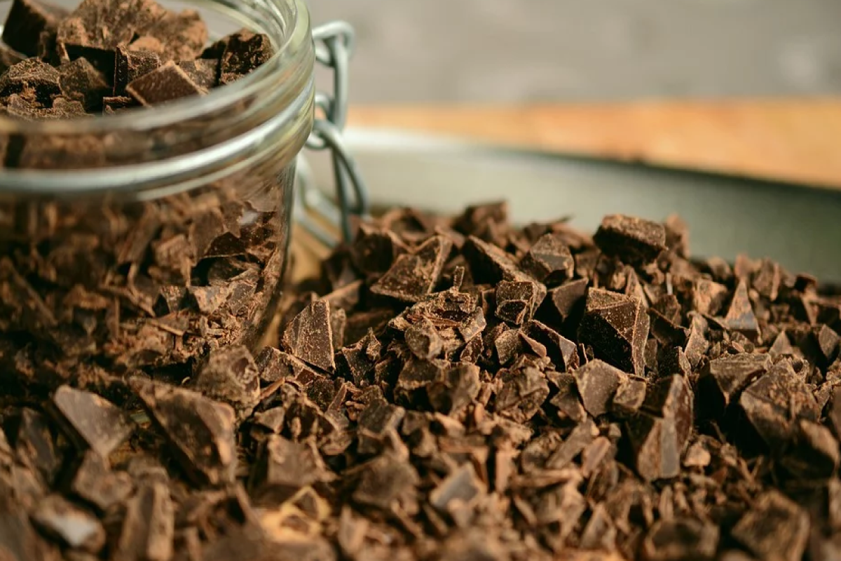 Ученые нашли экологичную замену какао