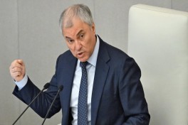 Госдума готовит ограничения для скрывающихся за рубежом лиц