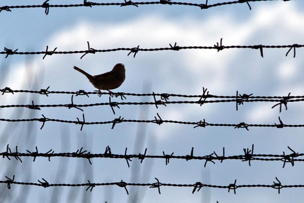 Амнистия к Году Конституции и суверенитета: кого она затронет 