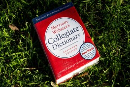 Merriam-Webster назвало словом 2025 года термин «slop»