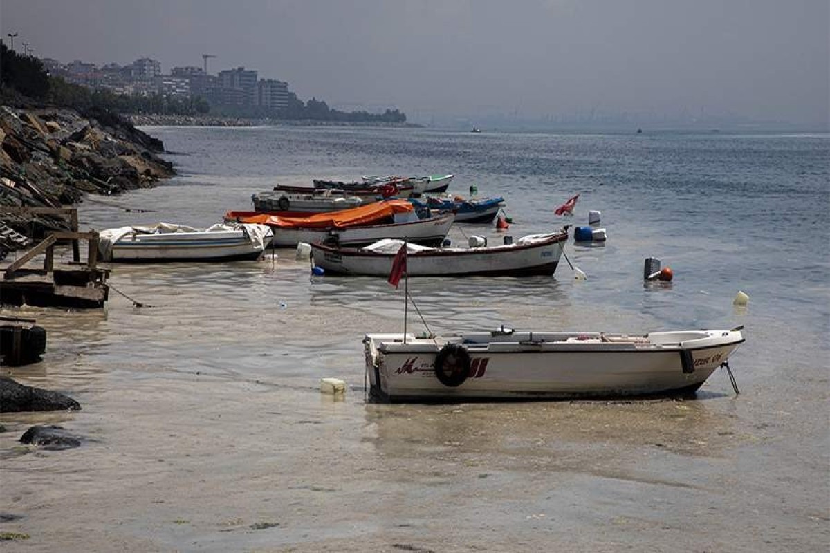 У берегов Турции внезапно отступило на 20 метров Мраморное море