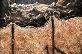 Древние пчелы строили гнезда в костях животных