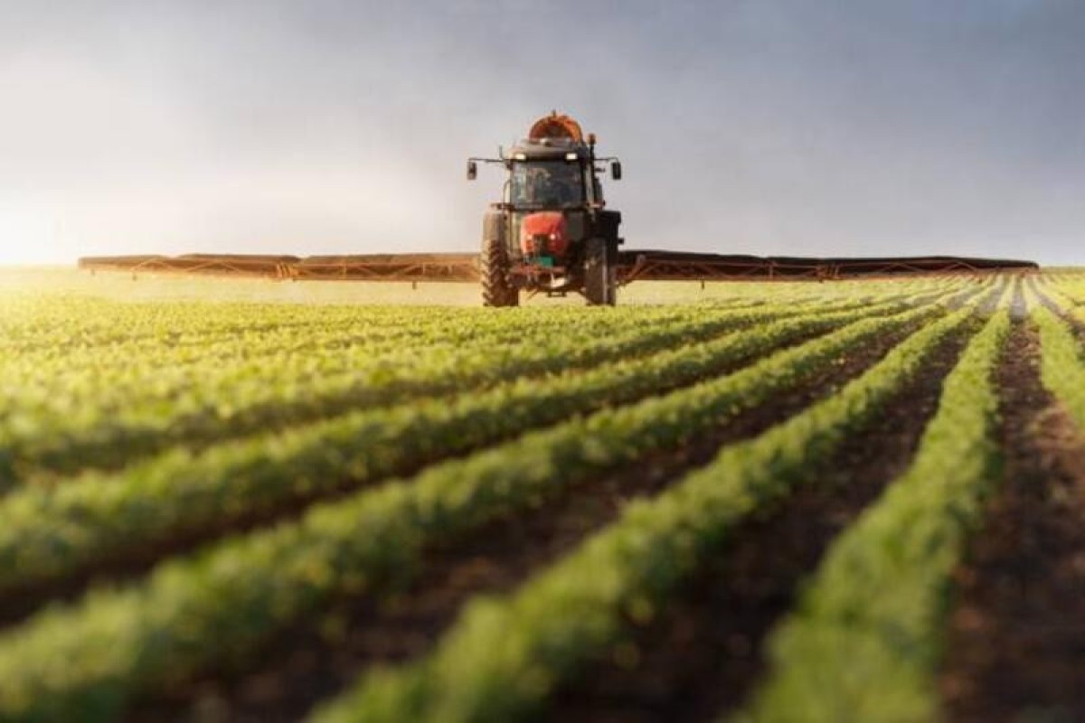 В Азербайджане назвали причину дефицита кадров в аграрном секторе