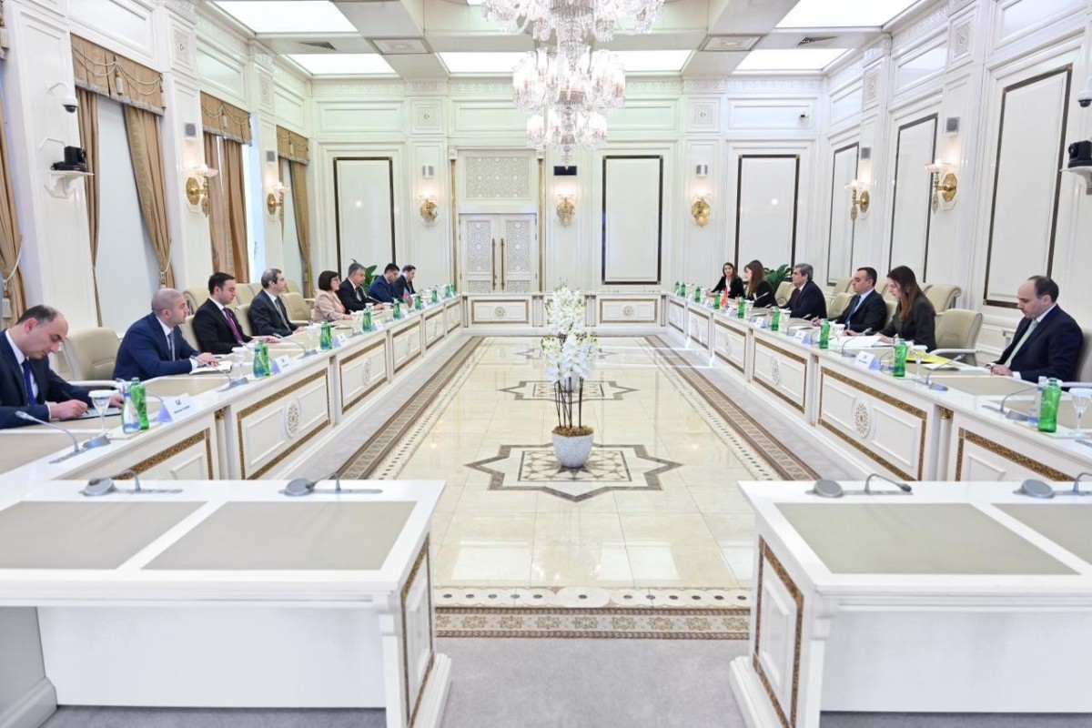 Глава МИД Монтенегро побывал на приеме у председателя Милли Меджлиса-ФОТО 