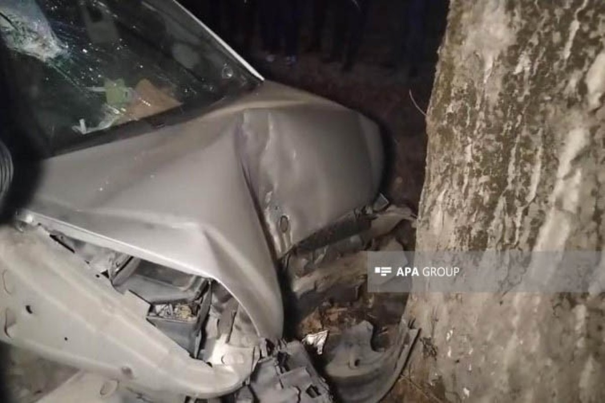 В Огузе Mercedes Vito врезался в дерево: есть погибший, шестеро ранены-ОБНОВЛЕНО -ФОТО 