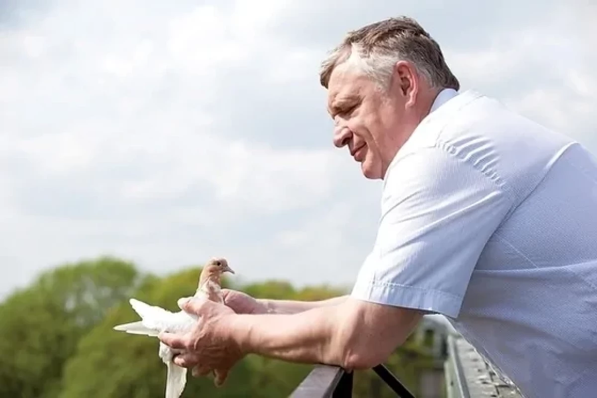 Экс-лидер Солнцевской ОПГ погиб в Подмосковье-ФОТО 
