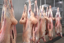 Импорт баранины в Азербайджан вырос более чем в пять раз