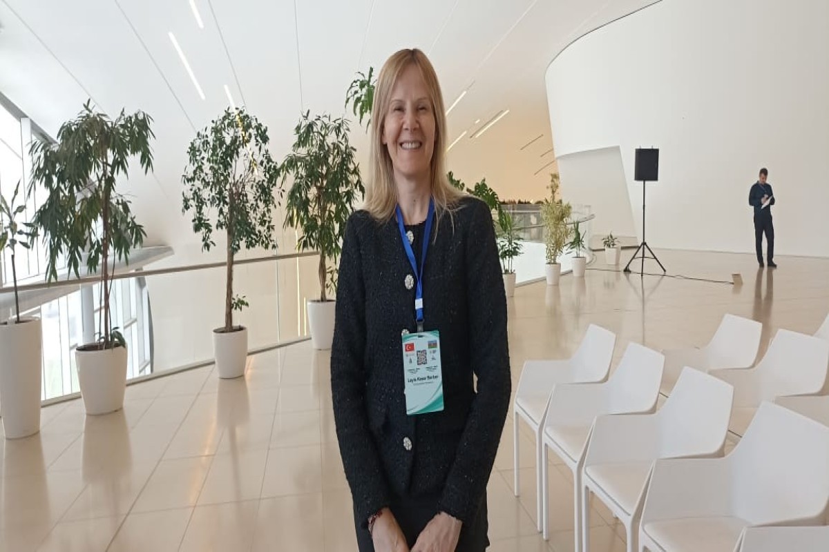 Лейла Кесер Бербер: Анкара предлагает Баку партнерство в развитии геотермальной энергетики 