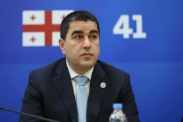Спикер парламента Грузии: Запад мешает достижению мирного соглашения по Украине