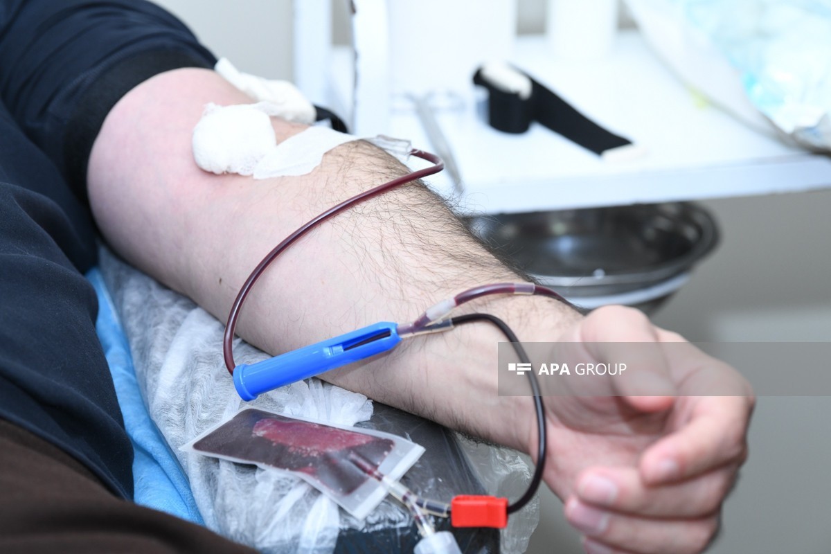 Сотрудники APA Media Group приняли участие в донорской акции-ФОТО 