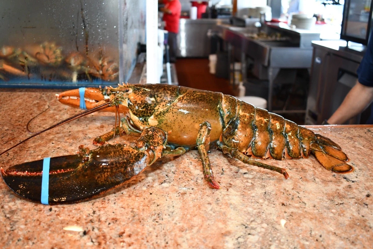 В США украли партию лобстеров на $400 тыс.