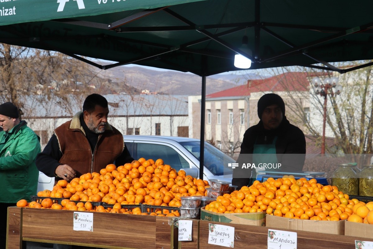 В Ханкенди проходит новогодняя ярмарка «Из деревни в город»-ФОТО 