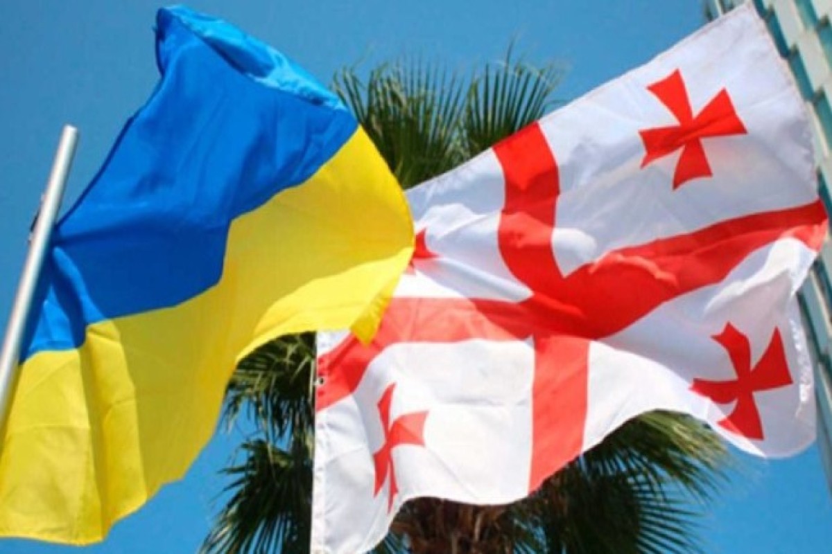 Кобахидзе продлил медицинские льготы для украинских беженцев