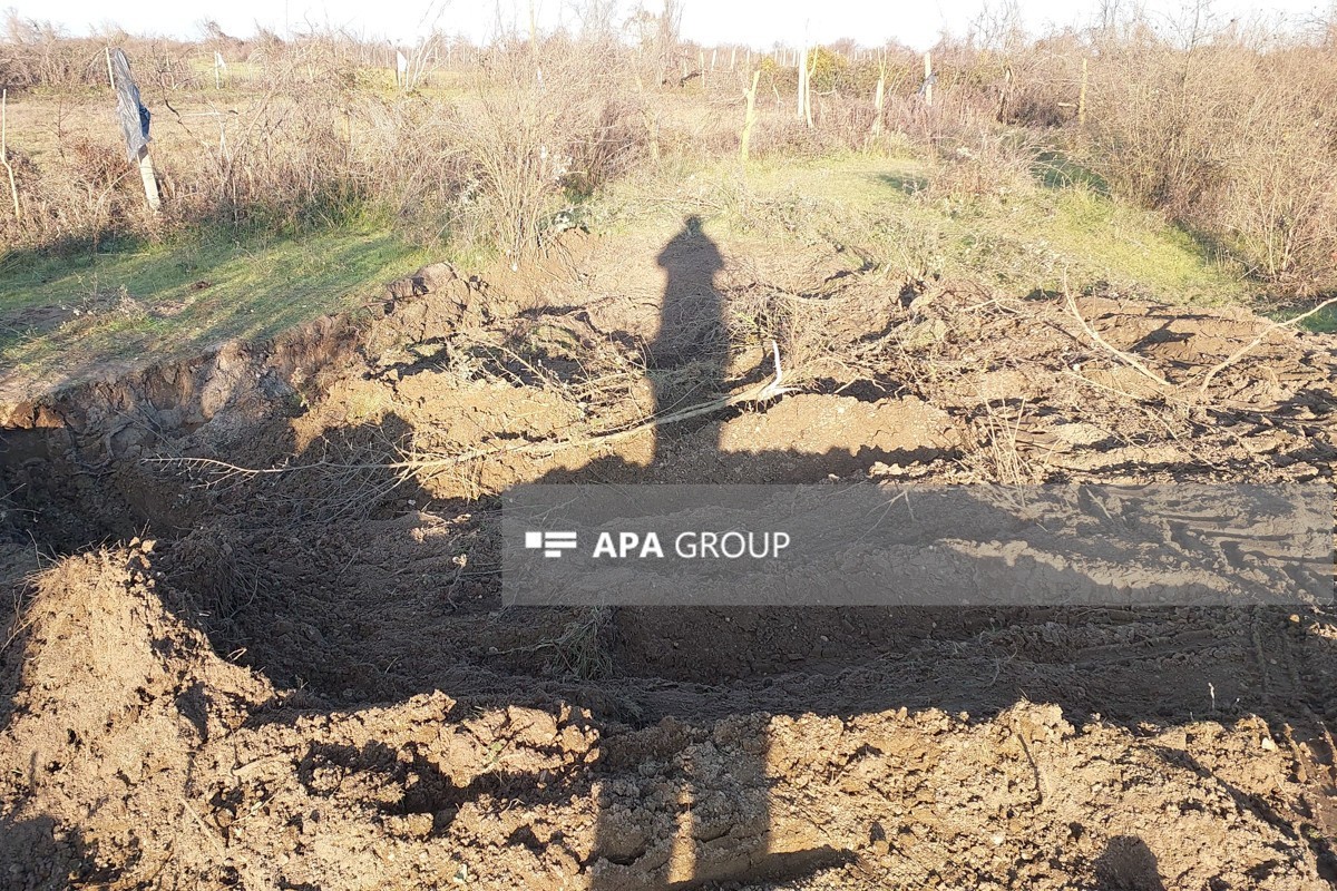 В Лянкярани раскрыто убийство 13-летней давности-ФОТО 