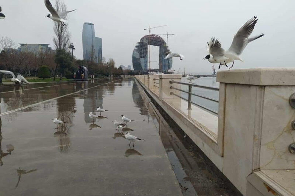 Во вторник в Баку без осадков и 6 градусов тепла