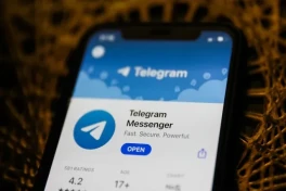 Дуров пообещал французским властям улучшить модерацию в "Telegram"