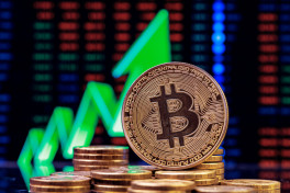 Стоимость биткойна поднялась выше 110 тыс долларов