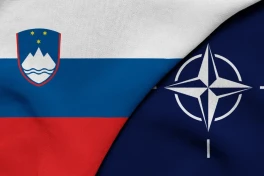 Словения обсуждает возможный выход из НАТО