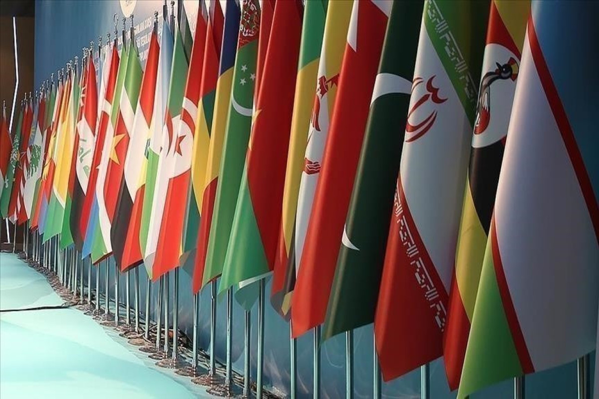 Арабские страны выступили в поддержку Сирии